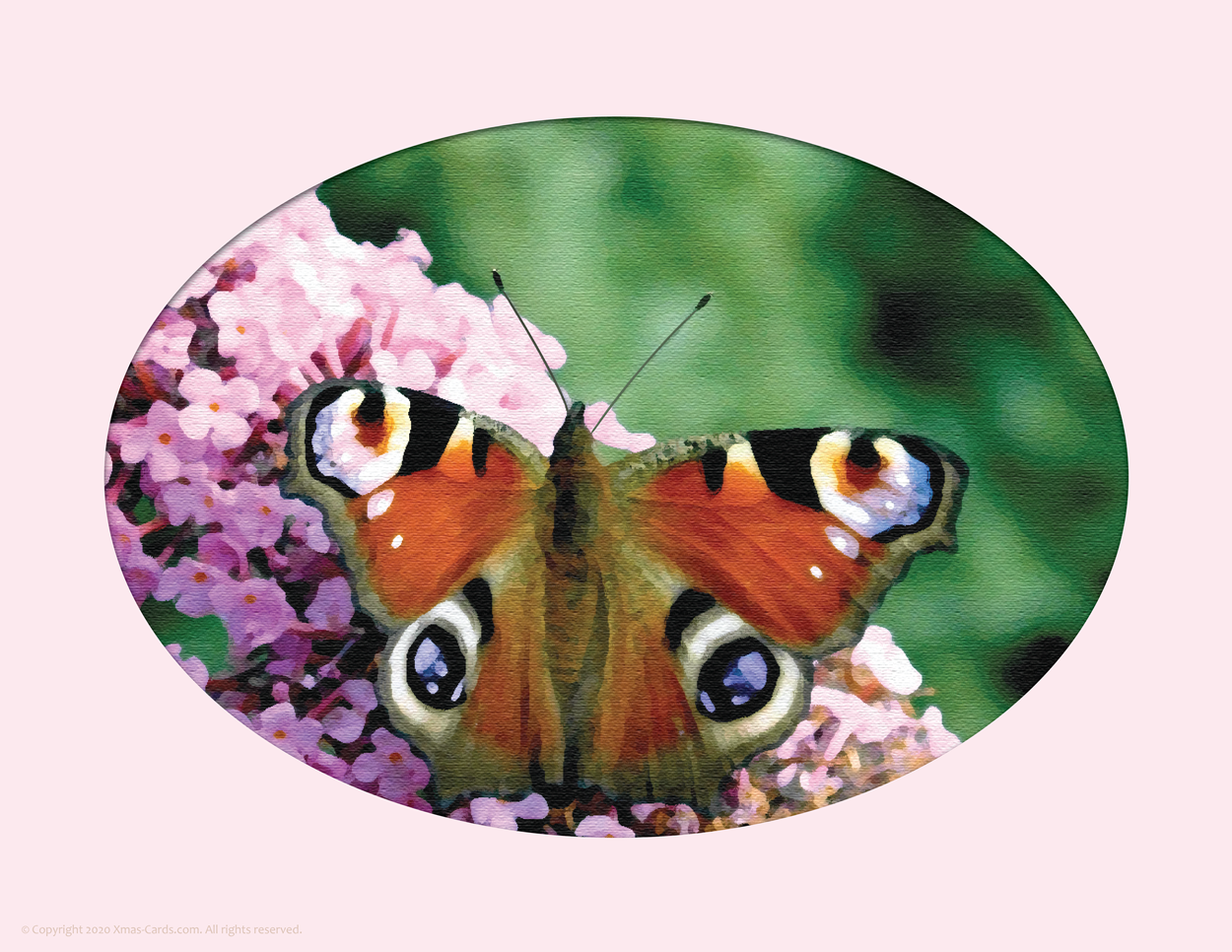 eCard_Paintbrush_Butterfly_ pink v.1.00i_1250