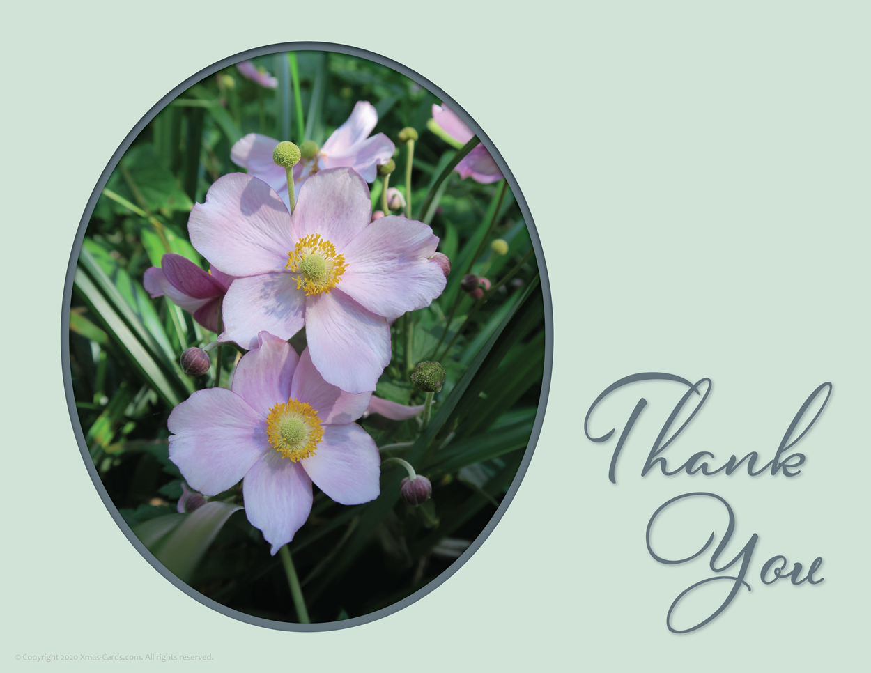 Fall Flowers (Thank you) eCard Store