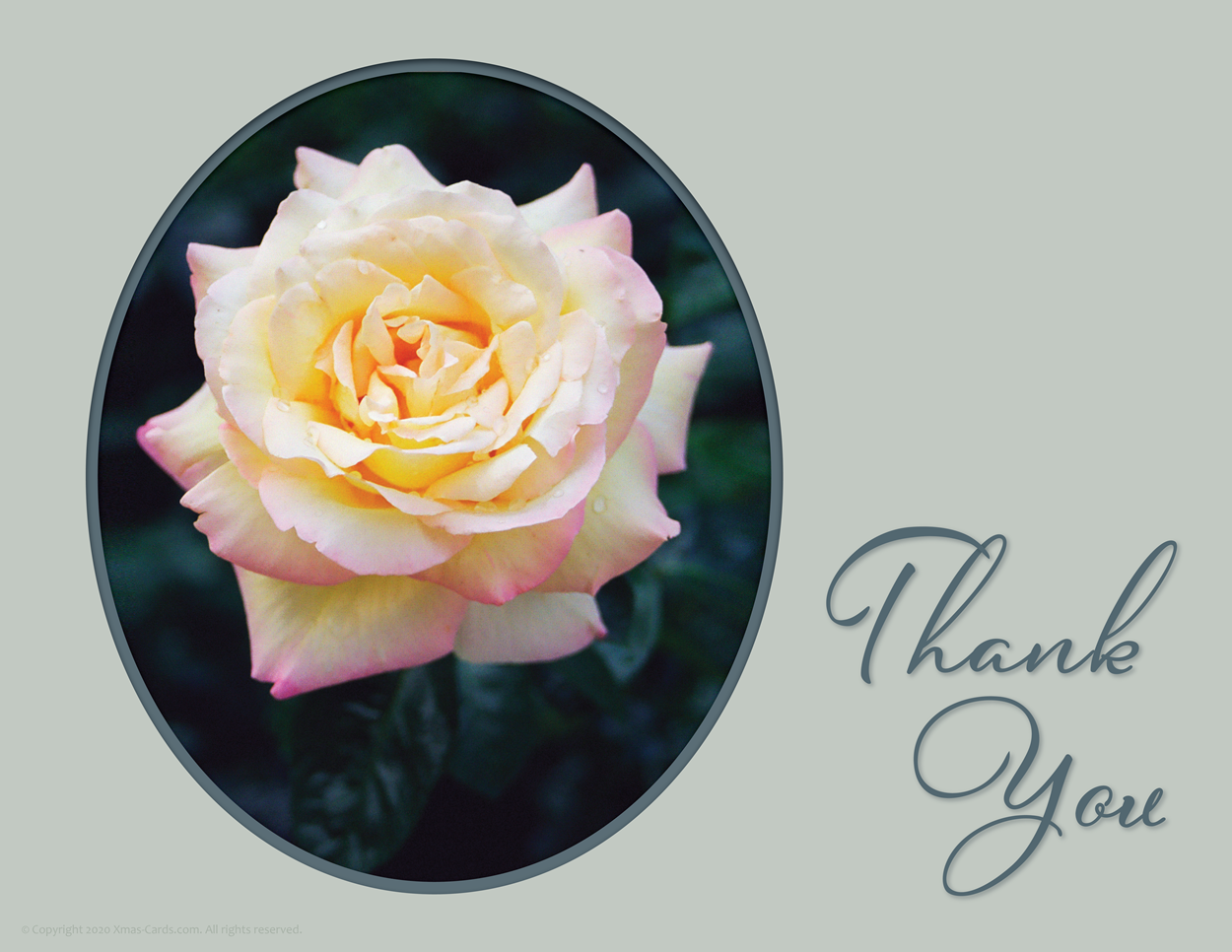 eCard_Photo Art_Rose Gloria Dei_green_Thank You v.1.01i_1250